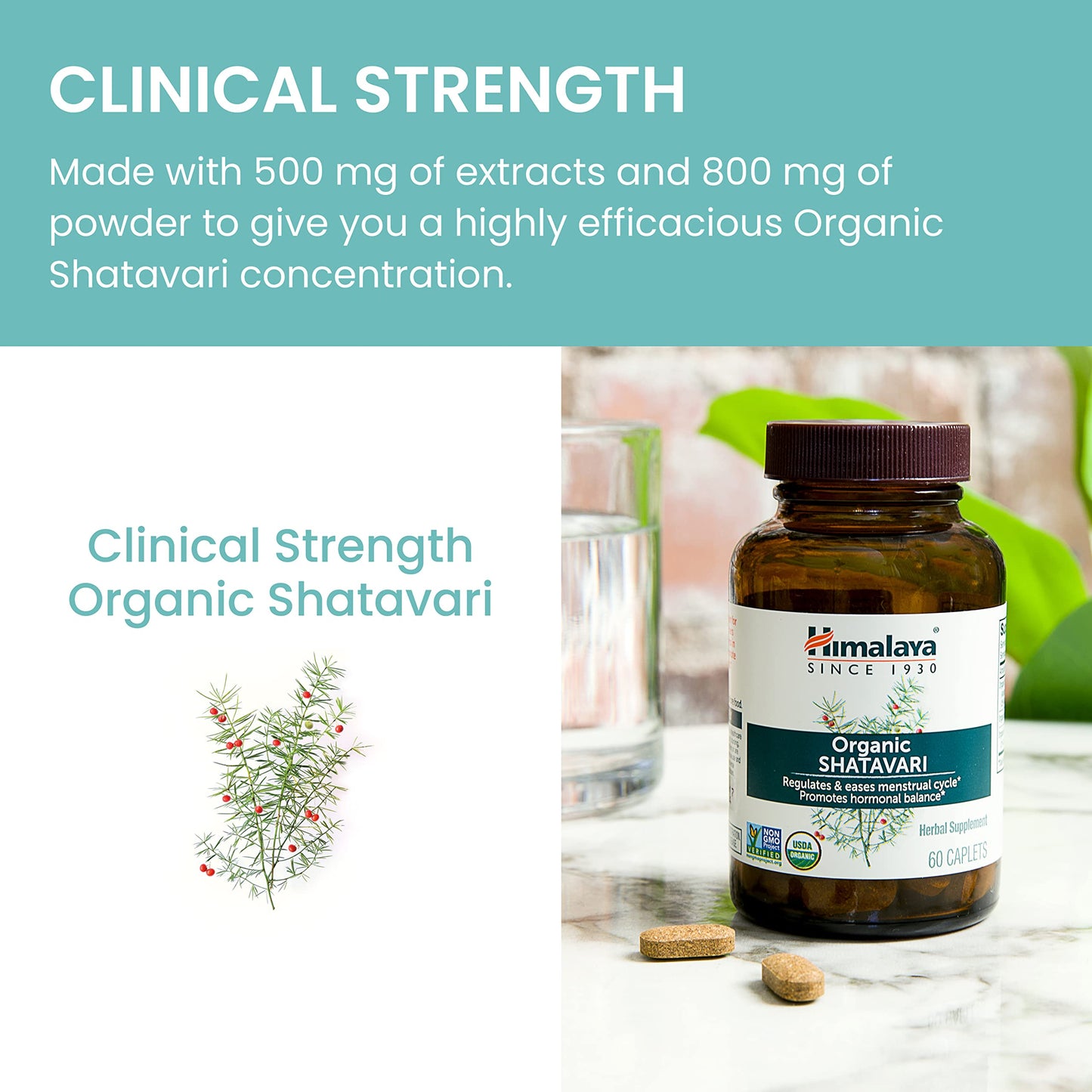 Himalaya Organic Shatavari