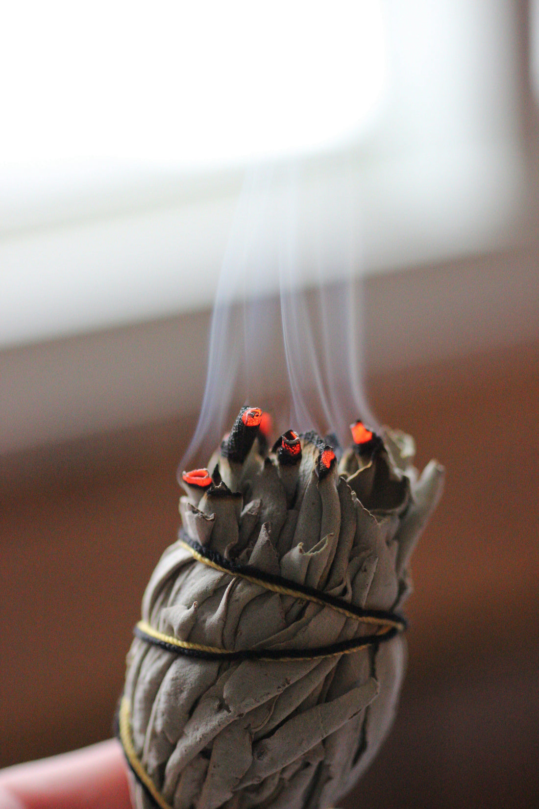 Clearing the Air: The Ancient Ritual of Smudging with Sage