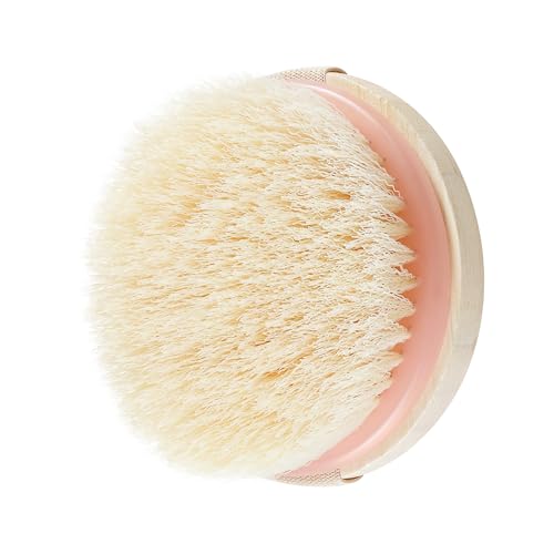EcoTools Dry Body Brush