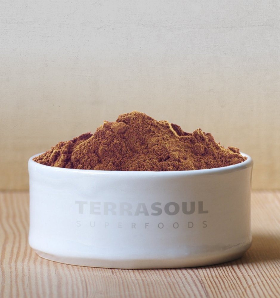 Terrasoul Organic Cacao Powder – Raw, Rich &amp; Ritual-Ready (2lb Pack)