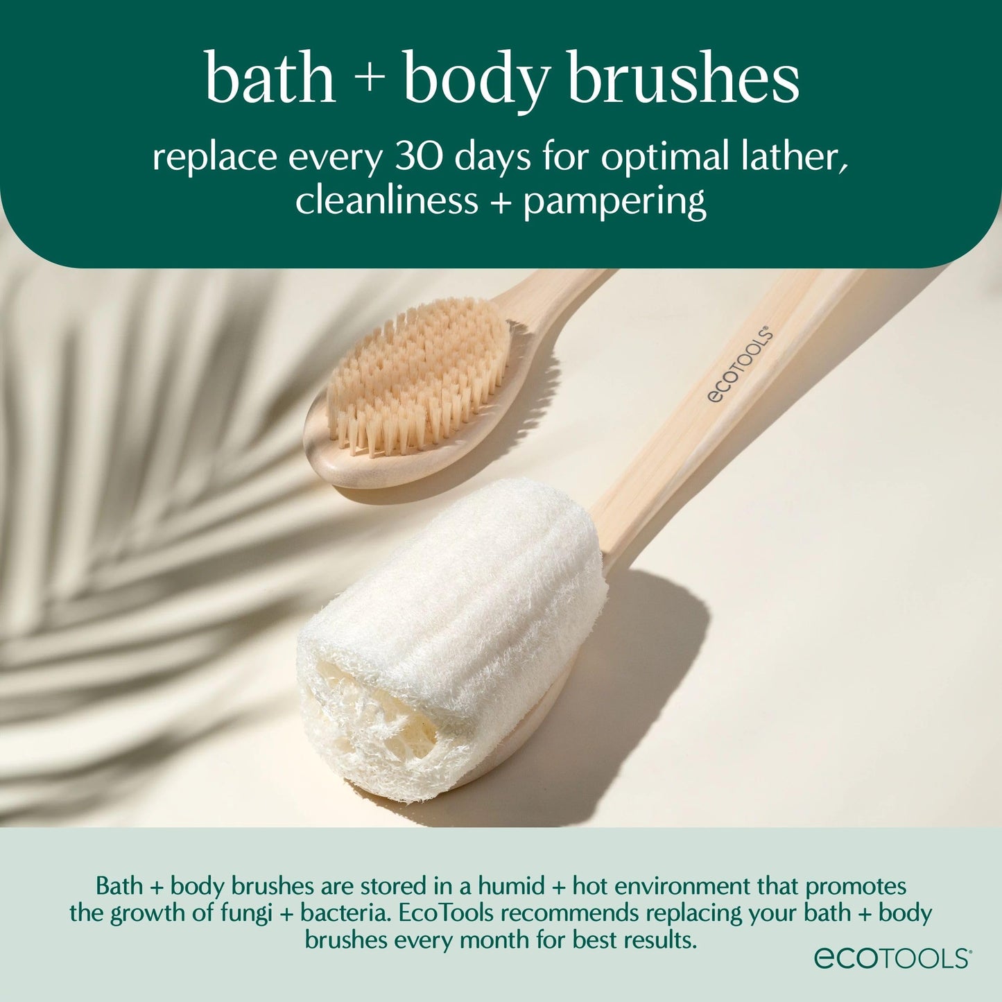EcoTools Dry Body Brush