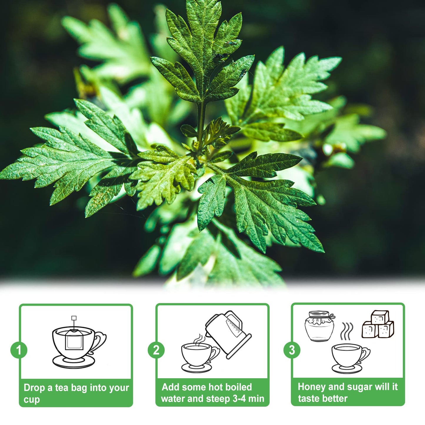 TEARELAE Natural Mugwort Tea